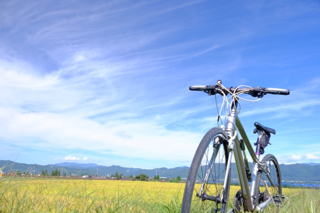 クロスバイクで草原を走る