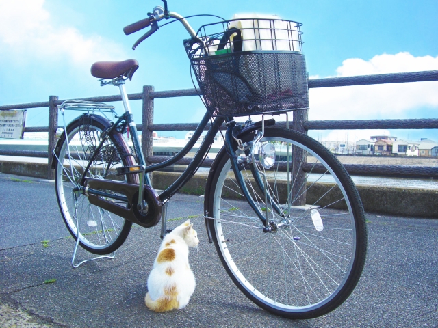 自転車と猫