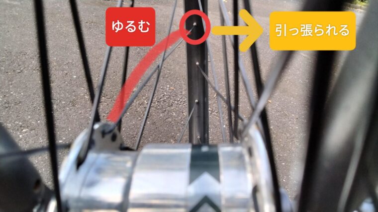 ハブから見たスポークの様子